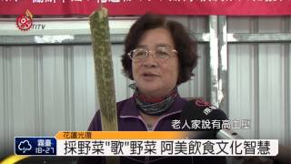 野菜文化分享 阿美耆老說野菜的故事  2014-11-07 TITV 原視新聞