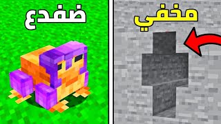 35 شيء مدهش في ماين كرافت !!