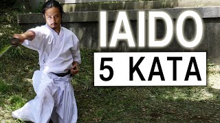 IAIDO demonstration with Japanese sword 5 KATA - Defense, Offense, Sitting, Standing