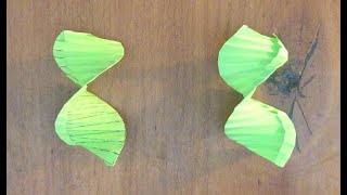 Origami 折纸：DNA双螺旋结构！简单易折，详细教学，就在这里！