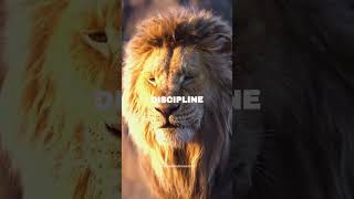 Attitude - Lion King 🦁 👑 #shorts