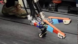 Multi-actuated ankle-foot prosthesis emulator