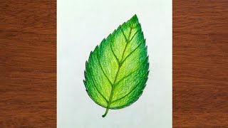 How to draw a Leaf | easy Leaf drawing | beautiful Leaf drawing | step by step by iqra easy draw