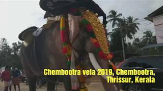 Chembootra Vela 2019, Chembootra, Thrissur, മകരചൊവ്വ മഹോത്സവം, ചെമ്പൂത്ര ഭഗവതി ക്ഷേത്രം, തൃശൂര്‍