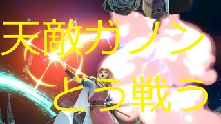 スマメイト14期対戦動画第23弾。対ガノンドロフ