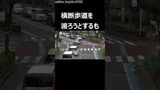 【歩行者妨害】横断歩道を渡る親子の目の前を止まらずに走り抜けた群馬ナンバーのエスティマにパトカー怒りの緊急走行！#shorts