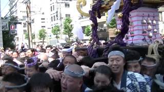 2015年　東京浅草三社祭一之宮神輿渡御（馬三）