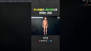 탄수화물 과다섭취가 문제 되는 이유