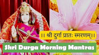 Durga Prath smaranam. श्रीदुर्गा प्रातः स्मरणम्।