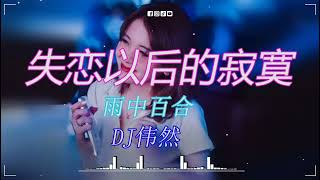 雨中百合 - 失恋以后的寂寞 (DJ伟然 Funky Rmx 2023) 慢歌连版, 流行金曲