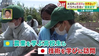 未成年の肥満率が世界２位!? パラオの生徒が“農業留学” 三重・四日市市