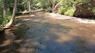 Laurel Run Tributary on Wyoming Mountain PA