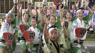 組踊り「舞龍連」第39回小金井阿波おどり（2017.7.23）