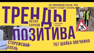 Тренды: Робочервь, Нелепый грабитель, Сторожевой олень, 767 шайба Овечкина, Спасение котёнка