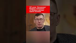 VIP-узник "Лукьяновки" Луценко: Тимошенко на Майдане дважды теряла сознание #shorts