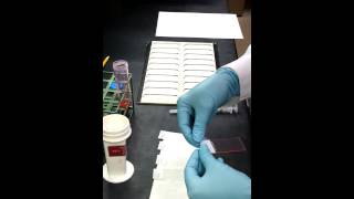 How to make a Cytology Smear