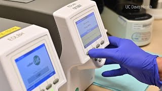 UC Davis test can detect both COVID-19 and the flu in 20 minutes