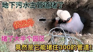 半个园区的污水管道堵了，挖开后掏出一团这个，我们都无语了