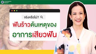 Doctor Tips : จริงหรือไม่? ฟันร้าว ต้นเหตุของอาการเสียวฟัน