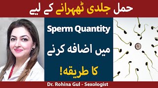 How to Increase Sperm Count in Males Urdu/Hindi | How To Improve Sperm Quality Naturally