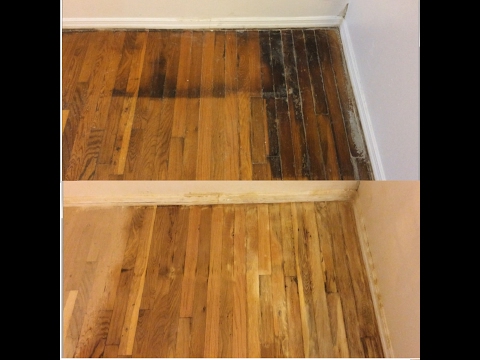 How to remove pet urine stains from wood floors GUARANTEED How to remove pet urine stains from wood floors GUARANTEED