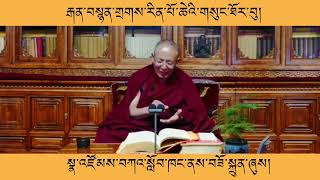 རྒན་བསྙན་གྲགས་རིན་པོ་ཆེ་གསུང་ཐོར་བུ། Teaching fast 4#