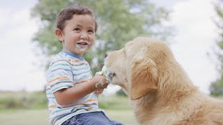 Spotting the Warning Signs of Pet Obesity