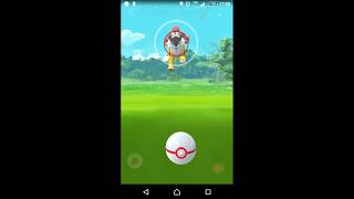 ポケモンGO ライコウ ゲットチャレンジ