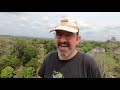 guide to visiting flores u0026 tikal guatemala 2019 mayan ruins