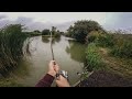 Float Fishing a small pond with Maggots