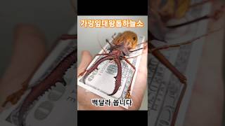 삐져나온다구? ㄷㄷㄷ