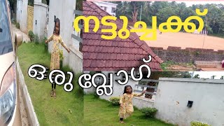 നട്ടുച്ചക്ക് ഒരു vlog