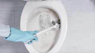 HOW TO CLEAN YOUR TOILET  WITH CLR PRODUCTS