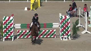 全日本学生馬術大会2017　第67回全日本学生賞典障害馬術競技大会　第2走行　4年　大久保　貴史　桜魂