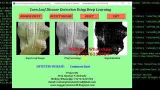 Python Code for Corn Leaf Disease Detection Using Deep Learning | Plant Disease Detection Code