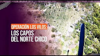 Operación Los Vilos: alerta por campamentos de narcocultivos #ReportajesT13
