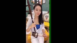 Erhu instrumental music  Meng Tuo Ling