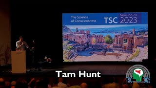 Tam Hunt: Where is consciousness? The “electromagnetic field hypothesis”