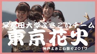 【4K】早稲田大学よさこいチーム 東京花火｜神戸よさこい祭り2017