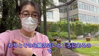 直腸癌肺転移　2年ぶり2度目の入院手術・入院初日、手術前日（2022年4月20日）の心境を語ってみました【大腸がんサバイバーカロリーナVlog】