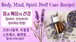 초보자를 위한 라벤더오일 사용법! Body Mind Spirit self care with Lavender oil