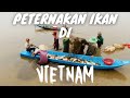 Peternakan Ikan Di Negara Vietnam | Amanta Farm | WA.0856-9355-8527