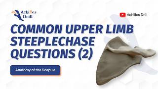 Common Upper Limb Steeplechase Questions PART 2 (SCAPULA)