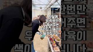 한달에 딱 한번만 부어주면 우리집 다육이 색이 달라집니다