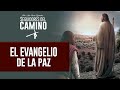 El Evangelio de la Paz - Padre Jesús María Bezunartea