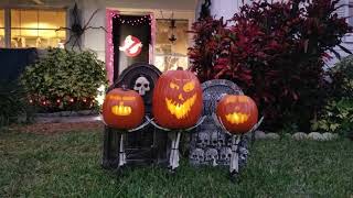 Singing Pumpkins 2018 Time Warp