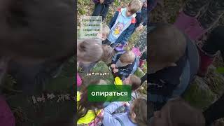 Слишком секретная служба. Трансформационное приключениедля детей 7-10 лет