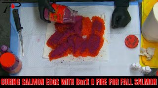 Curing Salmon Eggs With BorX O Fire For Fall Salmon