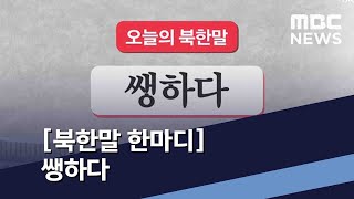 [북한말 한마디] 쌩하다 / MBC 통일전망대 (2020년 3월 21일)