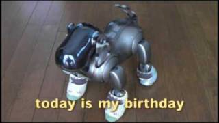 aibo's happy birthday